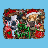 Stay Sweet Heifers Premium Sweatshirt | Teevron