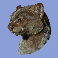 Jaguarundi Head Long Sleeve Tee | Teevron