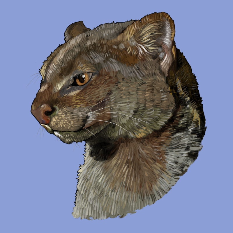Jaguarundi Head Long Sleeve Tee by LillyAllenDesigns | Teevron