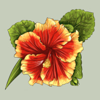 Hawaiian Hibiscus Flower Illustrations Ladies Tee | Teevron