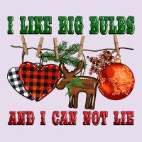 I Like Big Bulbs And I Can Not Lie Premium Hoodie | Teevron