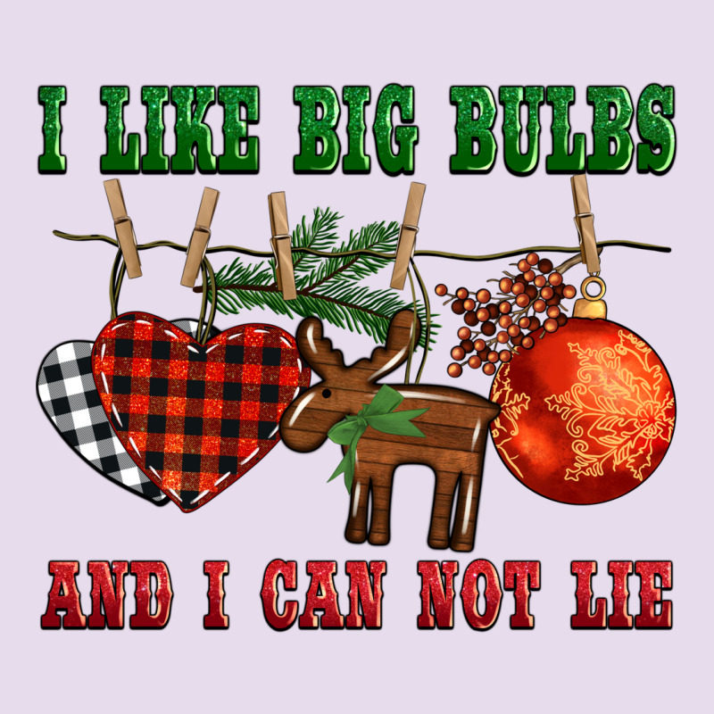 I Like Big Bulbs And I Can Not Lie Premium Hoodie by BarkalooDesign | Teevron