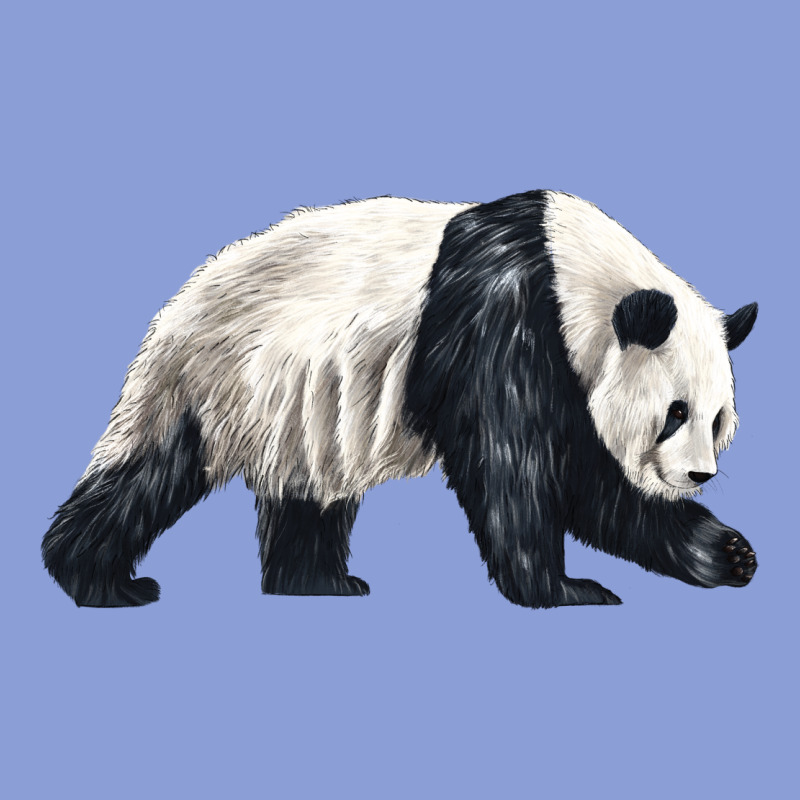 Walking Panda Long Sleeve Tee by LillyAllenDesigns | Teevron