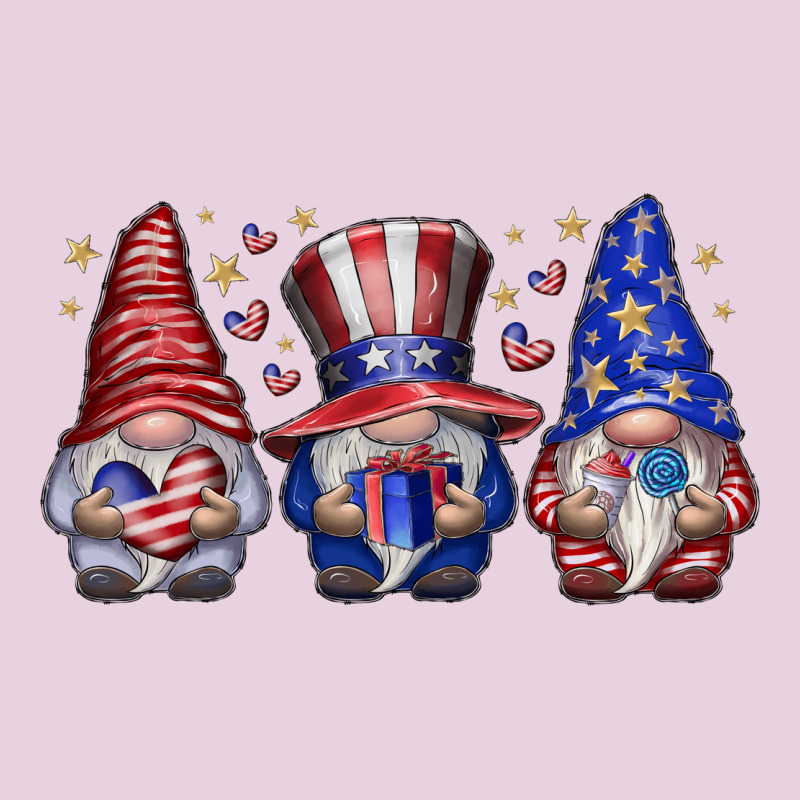 American Gnomes Ladies Tee by CowhideDigitalArt | Teevron
