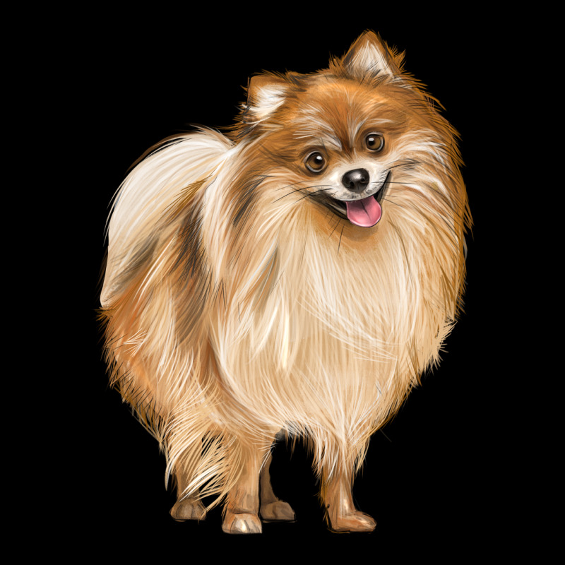 Pomeranian Dog Illustrations Ladies Tee by LillyAllenDesigns | Teevron