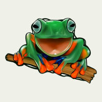 Frog Urban Heavy Tee | Teevron
