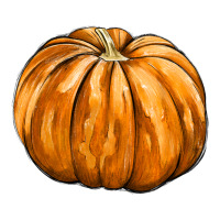 Pumpkin | Teevron