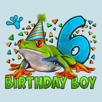 Birthday Boy Frog Age 6 Ladies Tee | Teevron