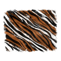 Tiger zebra background | Teevron
