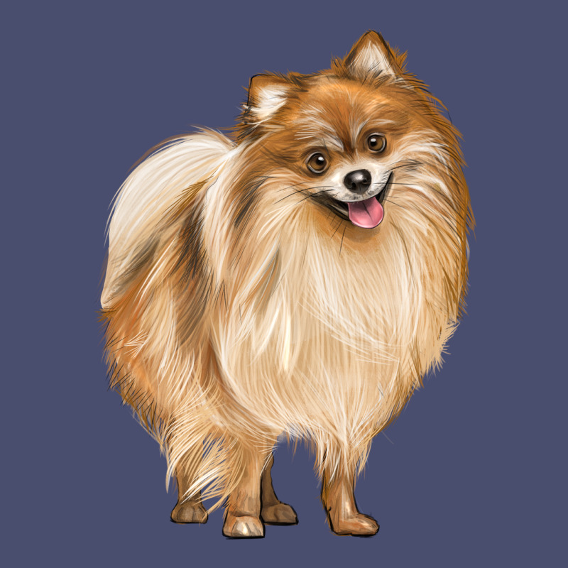 Pomeranian Dog Illustrations Vintage Tee by LillyAllenDesigns | Teevron