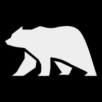 Bear Heavy Core Tee | Teevron
