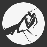 praying mantis | Teevron