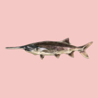 Paddlefish Illustrations, Urban Heavy Tee | Teevron