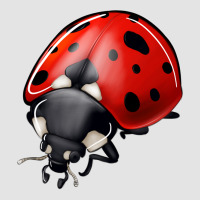 Ladybug Premium Sweatshirt | Teevron