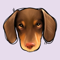 Dachshund Premium Hoodie | Teevron