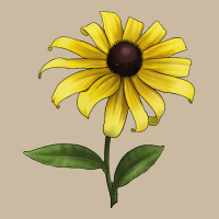 Black Eyed Susan Flower Illustrations Long Sleeve Tee | Teevron