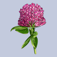 Red Clover Illustrations Long Sleeve Tee | Teevron