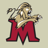 Lions, Molloy College Heavy Core Tee | Teevron