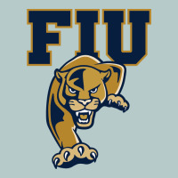 The Fiu Panthers Heavy Core Tee | Teevron