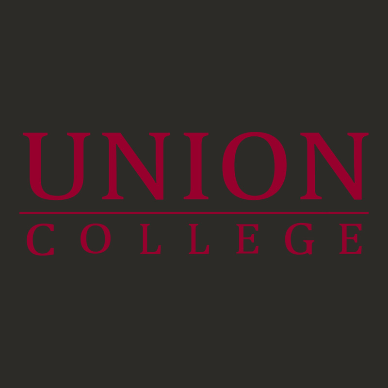 Union College Heavy Core Tee by linhVisuals | Teevron