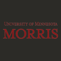 University Of Minnesota Morris Heavy Core Tee | Teevron