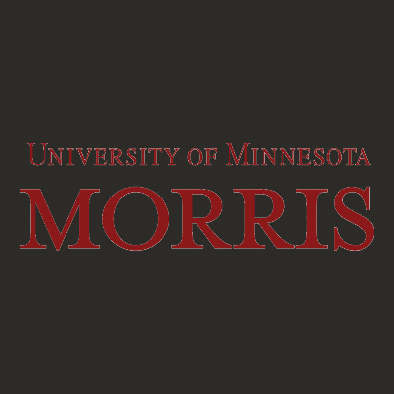 University Of Minnesota Morris Heavy Core Tee by linhVisuals | Teevron
