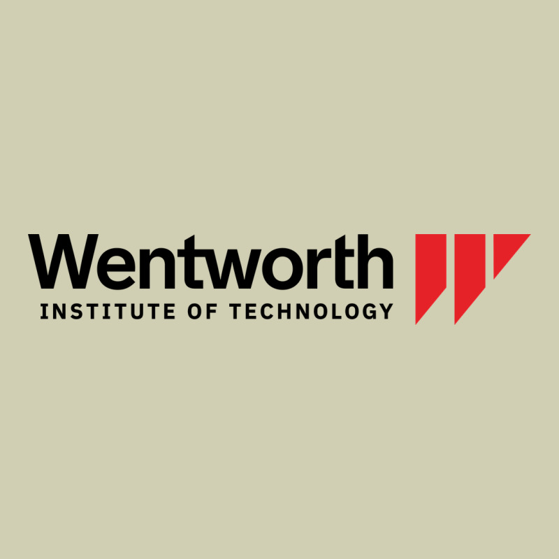 Wentworth Institute Of Technology Heavy Core Tee by linhVisuals | Teevron