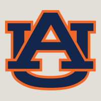 Auburn Tigers Heavy Core Tee | Teevron