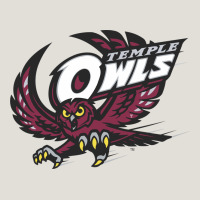 Temple Owls Heavy Core Tee | Teevron