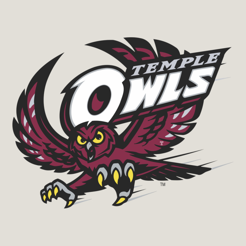 Temple Owls Heavy Core Tee by linhVisuals | Teevron