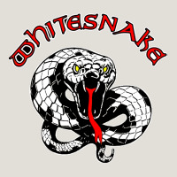 Whitesnake Ws Heavy Core Tee | Teevron