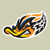 Akron-rubber-ducks Heavy Core Tee | Teevron