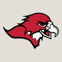 Benedictine, Mesa, College Heavy Core Tee | Teevron