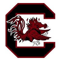 the gamecocks athletics | Teevron