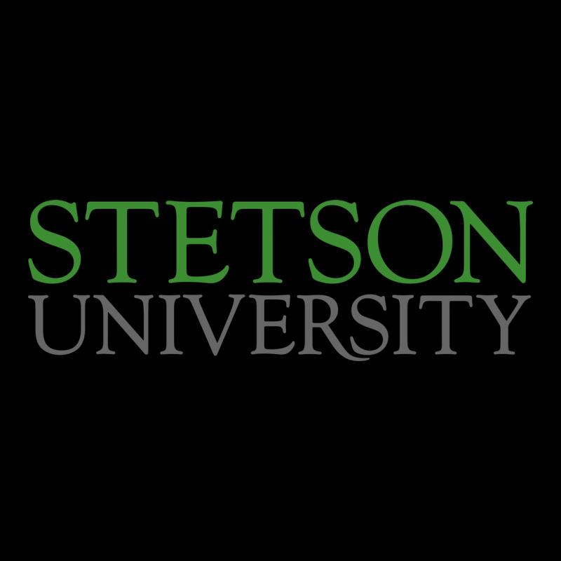 Stetson University Heavy Core Tee by linhVisuals | Teevron
