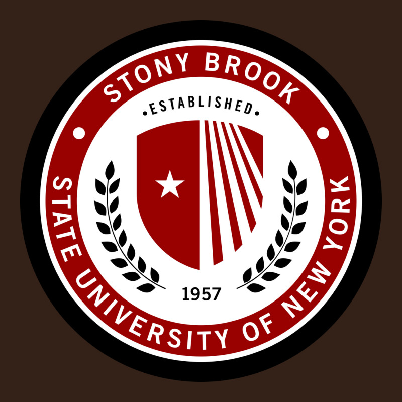 Stony Brook University Heavy Core Tee by linhVisuals | Teevron