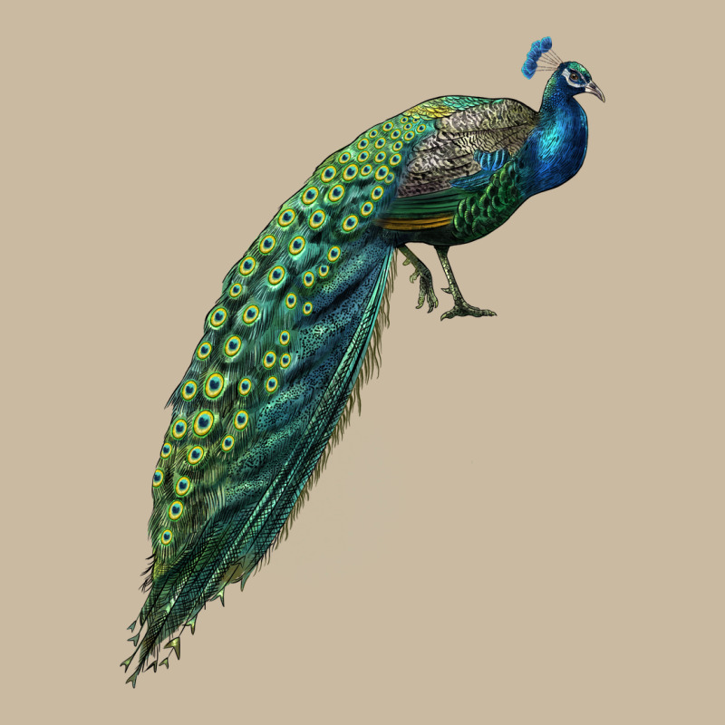 Peacock Long Sleeve Tee by LillyAllenDesigns | Teevron