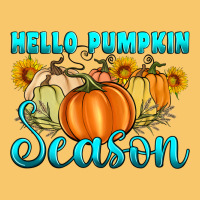 Hello Pumpkin Season Vintage Hoodie | Teevron