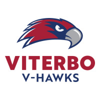 v-h4wks, viterbo, education | Teevron