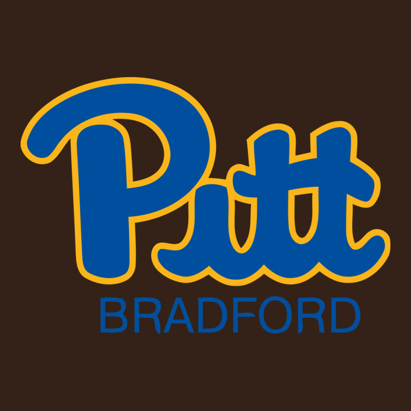 Pitt Bradford, University Of Pittsburgh At Bradford, Heavy Core Tee by linhVisuals | Teevron