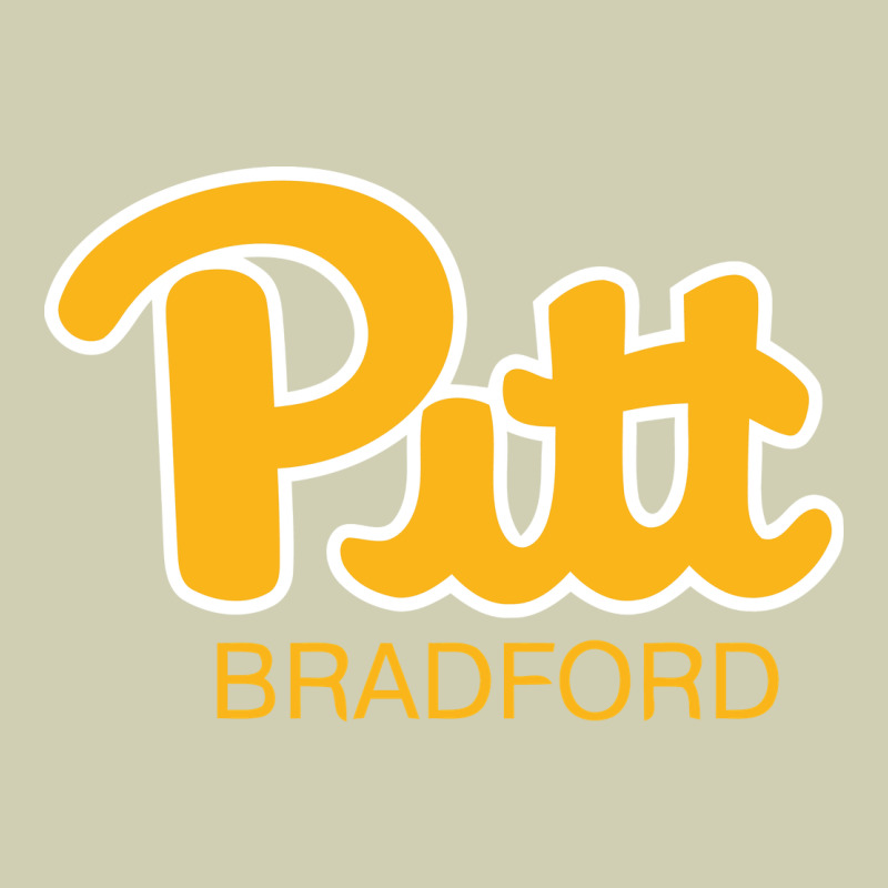 Pitt Bradford, University Of Pittsburgh At Bradford, Heavy Core Tee by linhVisuals | Teevron