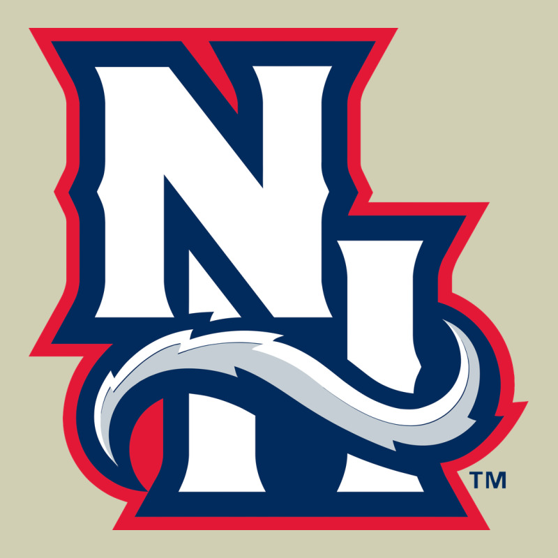 New Hampshire Fisher Cats Heavy Core Tee by linhVisuals | Teevron