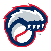 new hampshire fisher cats | Teevron
