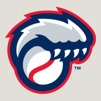 New Hampshire Fisher Cats Heavy Core Tee | Teevron