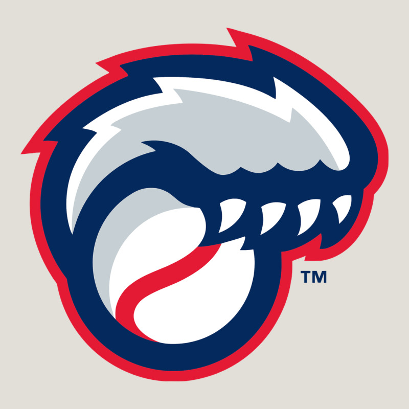 New Hampshire Fisher Cats Heavy Core Tee by linhVisuals | Teevron