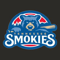 Tennessee Smokies Heavy Core Tee | Teevron