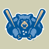Tennessee Smokies Heavy Core Tee | Teevron