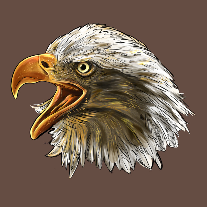 Bald Head Eagle Long Sleeve Tee by LillyAllenDesigns | Teevron