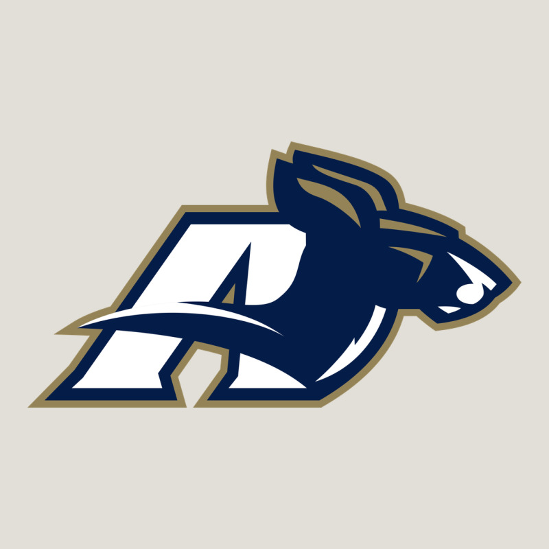 Akron University Zips Heavy Core Tee by linhVisuals | Teevron