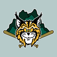 Lynchburg Hillcats Baseball Heavy Core Tee | Teevron